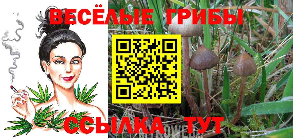 Псилоцибиновые грибы Magic Shrooms  Вход с VPN  Кудымкар  Галлюциногенные грибы GOLDEN TEACHER 